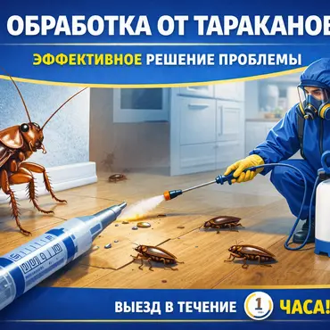 Обработка от тараканов: эффективное решение проблемы в квартире